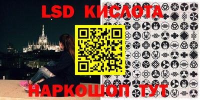 PSILOCYBIN Новоалтайск