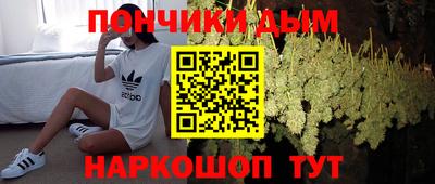 PSILOCYBIN Новоалтайск