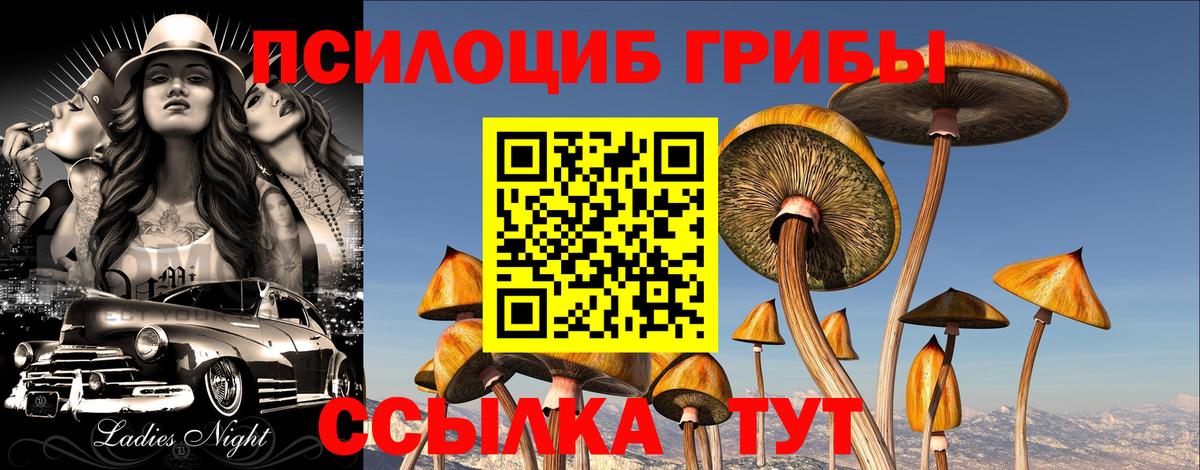 Кстово  Псилоцибиновые грибы мицелий  Вход с VPN  Галлюциногенные грибы Cubensis 