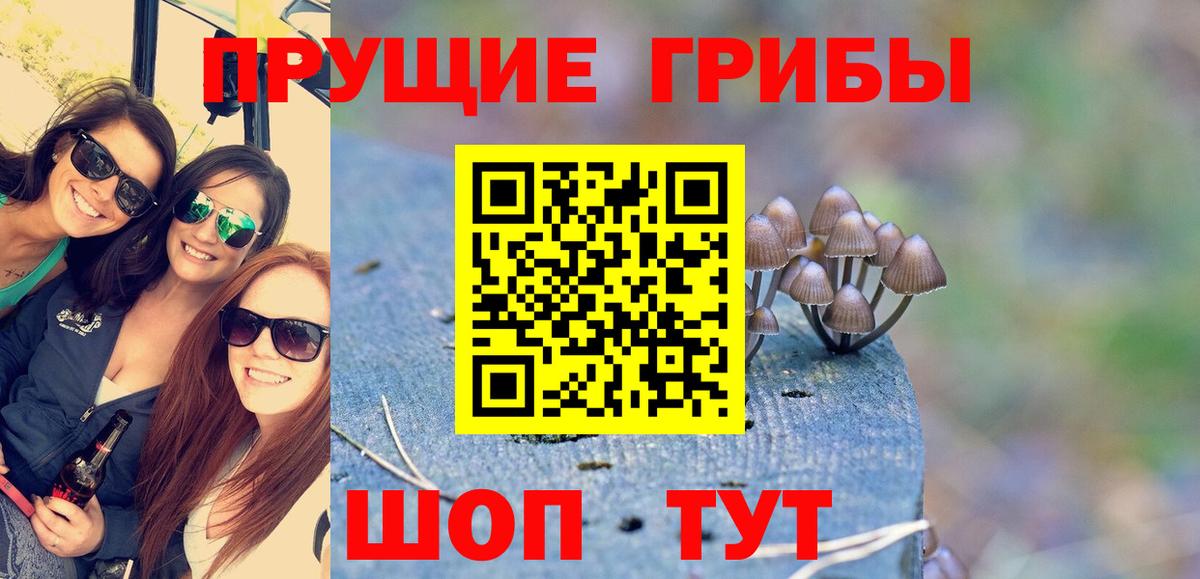 Галлюциногенные грибы Cubensis Кстово